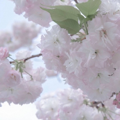 兽设海洋场景创作兽圈社群